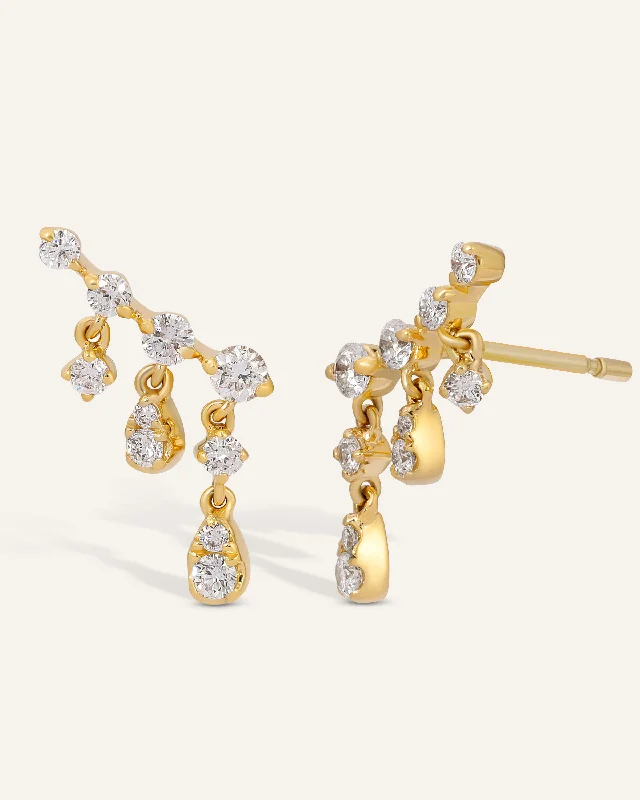 Discounted Jewelry For A Glamorous Look Darcy Earrings