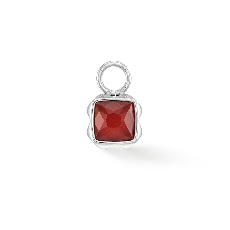 Celebrate Every Occasion With Sparkling Savings Birthstone January Charm Red Agate Silver